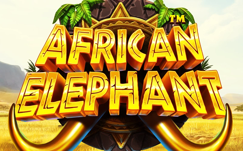 Embárcate en un safari de premios con el African Elephant en Casino Stars.