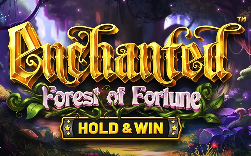 Explora el bosque encantado y encuentra tu fortuna en Enchanted Forest of Fortune de Casino Stars.